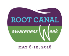 Endodontists are highly trained specialists in treating the roots of the tooth.